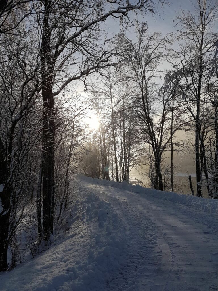 Winterspatziergang (21)